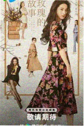 总裁的替身前妻